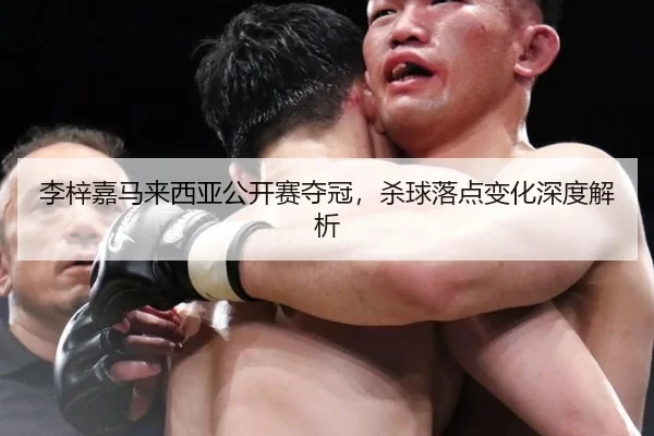李梓嘉马来西亚公开赛夺冠，杀球落点变化深度解析